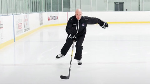 Single Leg Pushes