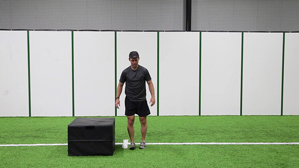Lateral Single Leg Box Hops