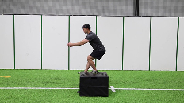 Single Leg Box Squat