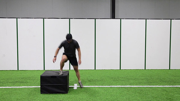 Single Leg Depth Landing