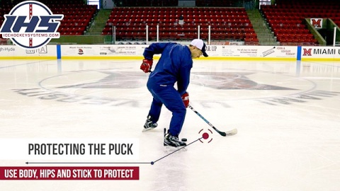 Exposing vs. Protecting the Puck