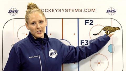 Puck Pursuit Tips For Younger Ages