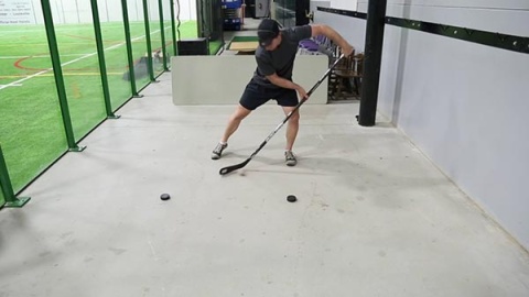 Pavel Datsyuk Two Puck