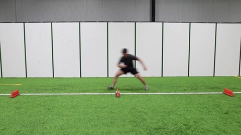 Pro Agility With Shuffle