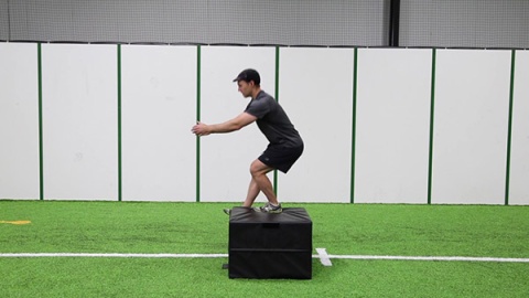 Single Leg Box Squat