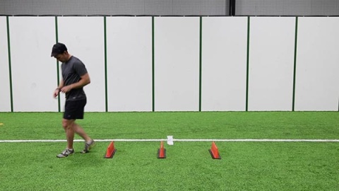 Single Leg Forward Hop With A Bounce