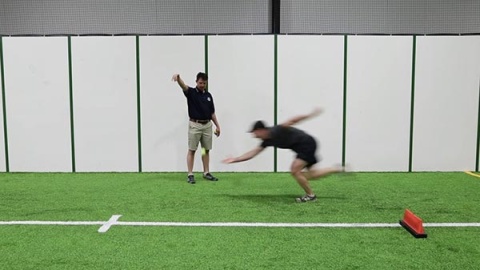 Tennis Ball Drop - Pushup Position